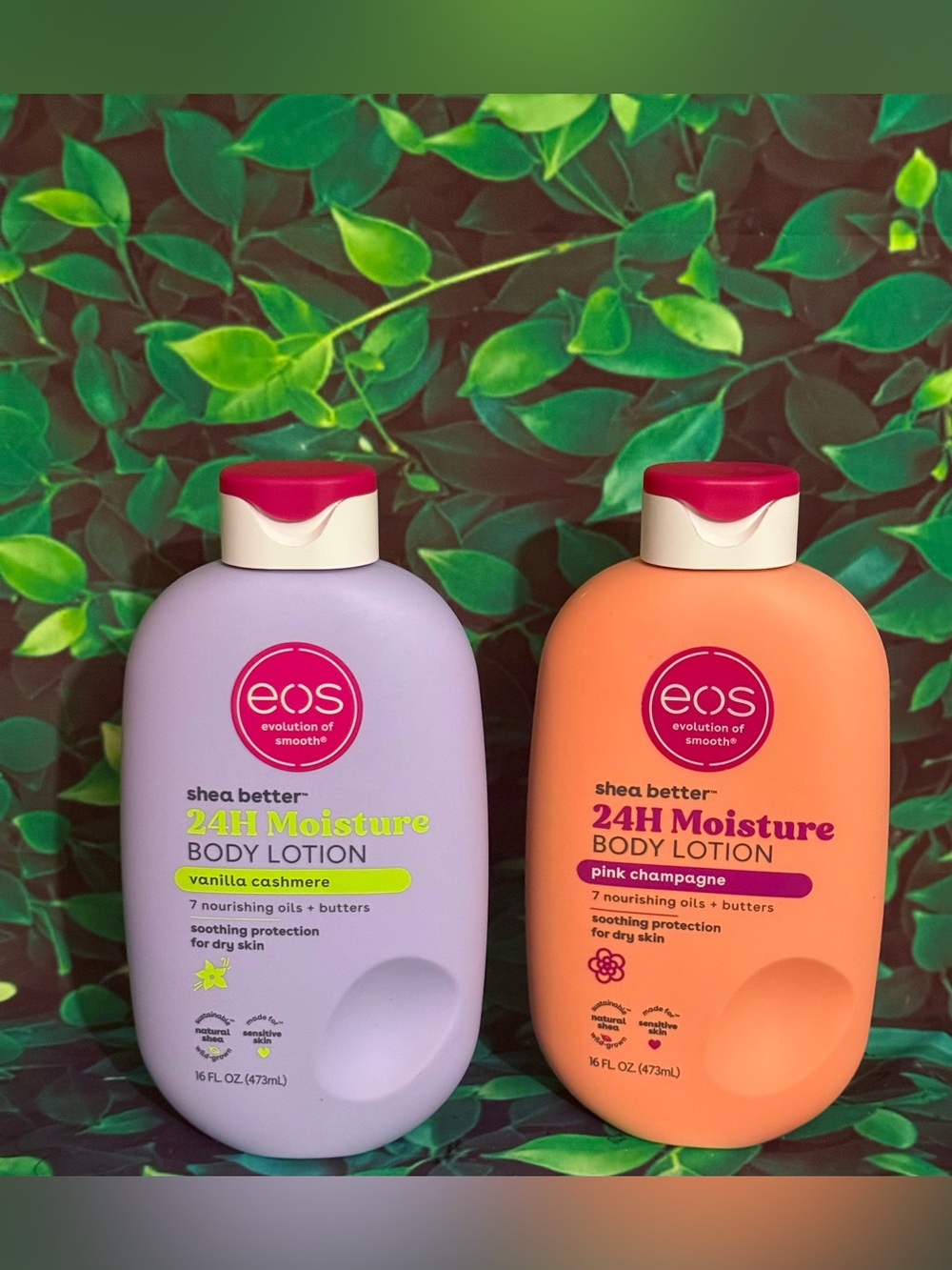EOS Body Lotion Set